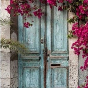 Floral Garden Doorway Paint by Numbers Kit
