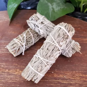 White + Blue Sage Bundle