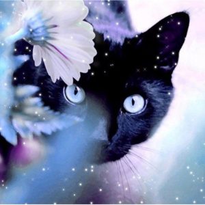 Winter Kitty Diamond Painting