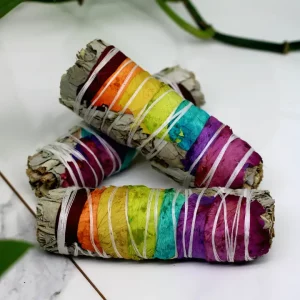 Blue Sage + Rainbow Rose Bundle