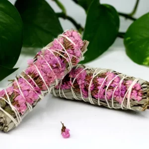 Blue Sage + Pink Sinuate Flower Bundle