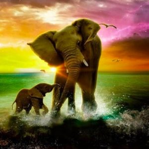 Elephant & Baby Diamond Painting Kit