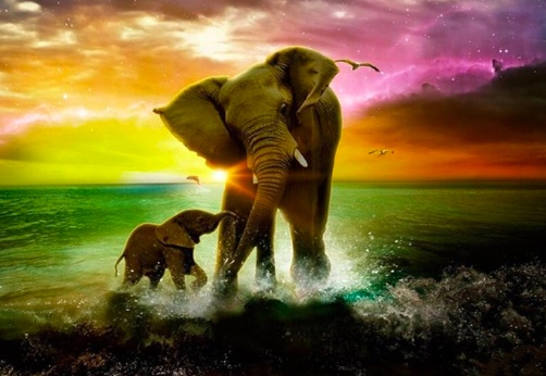 Elephant & Baby Diamond Painting Kit