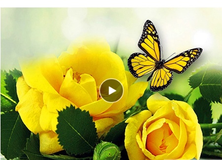Rose & Butterfly Diamond Painting Kit - Image 2