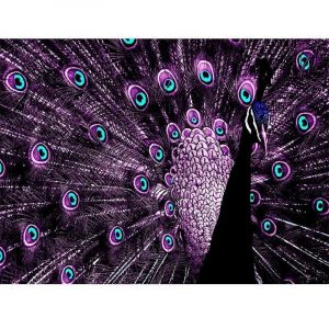 Peacock Wings Diamond Painting Kit