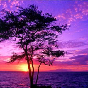 Landscape Tree Diamond Painting Kit