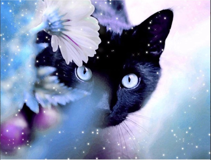 Black Cat Diamond Painting Kit