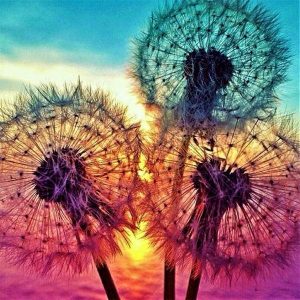 Dandelion Diamond Painting Kit