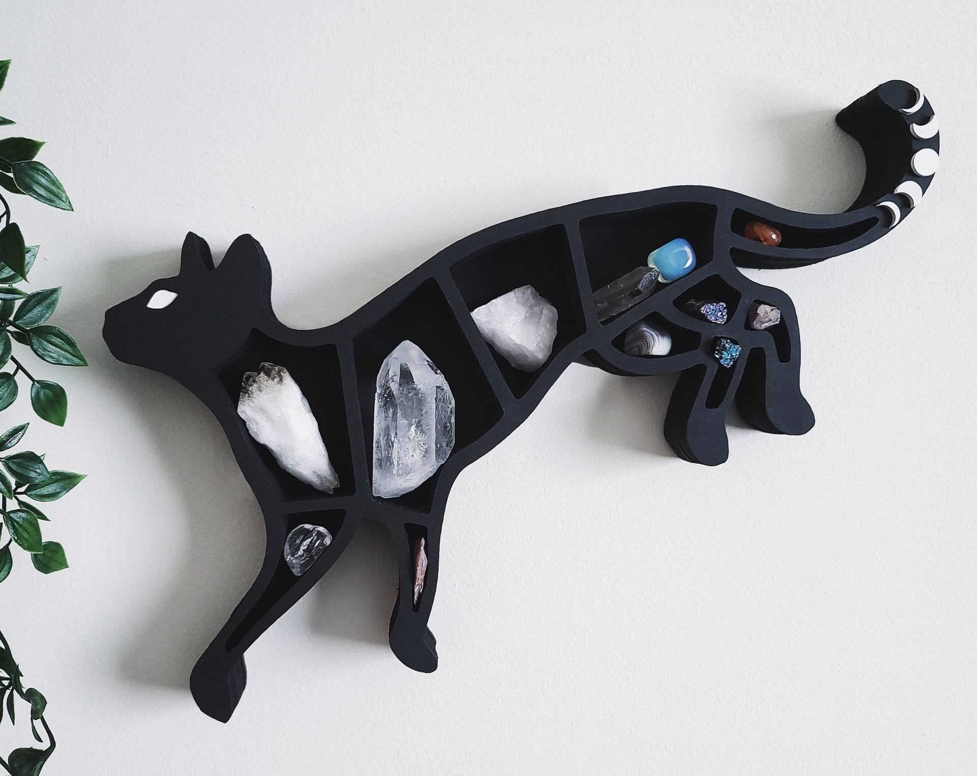 Wood Snake Moon Phase Crystal Shelf - Image 2